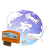 Under the Sea Creativity Pack | smART sketcher® 2.0